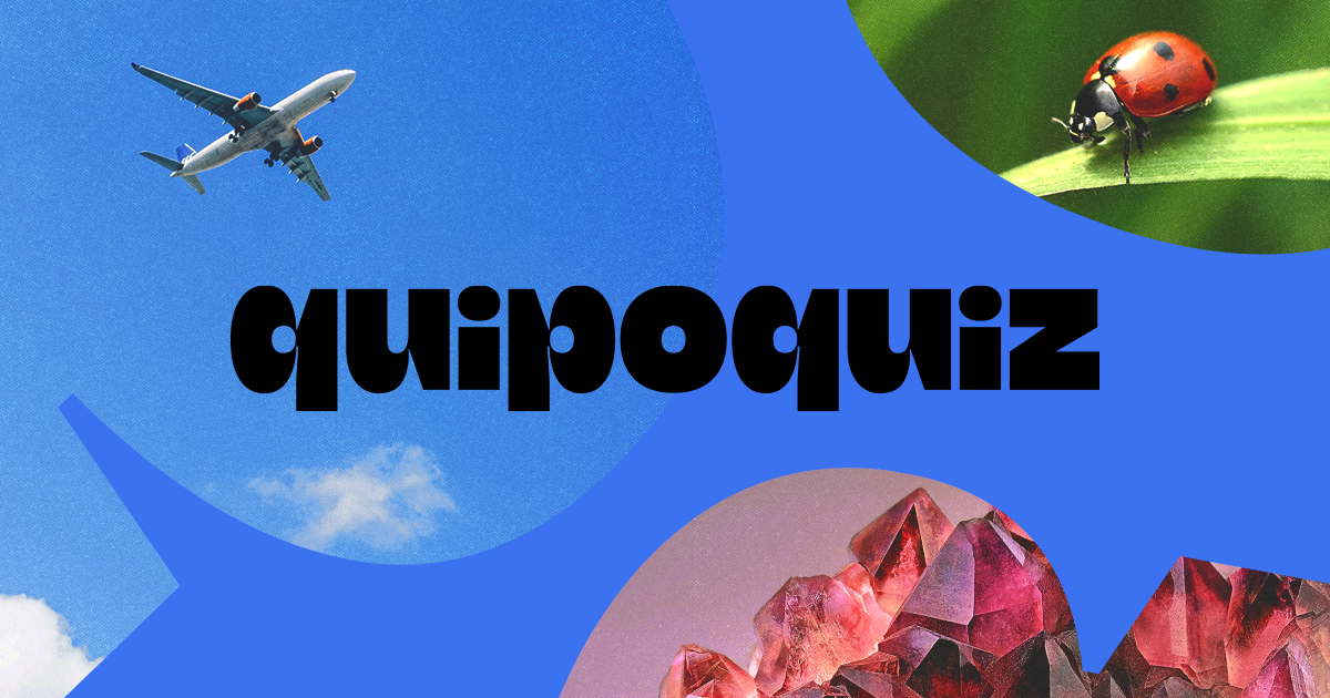 Collection Hollywood QuipoQuiz Quipoquiz